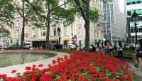 Bowling Green, New York, NY