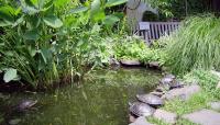 Liz Christy Community Garden, New York, NY 