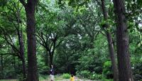 Photo by Central Park Conservancy::2012::The Cultural Landscape Foundation