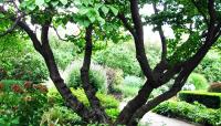 Central Park Conservatory Garden, Central Park, New York City, NY 