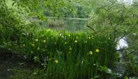 Photo by Charles McKinney, courtesy NYC Department of Parks and Recreation::2012::The Cultural Landscape Foundation