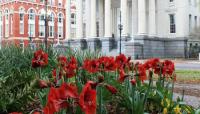 Lafayette Square, New Orleans, LA