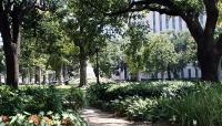 Lafayette Square, New Orleans, LA