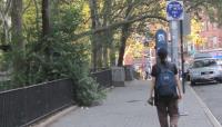 Seward Park, New York, NY