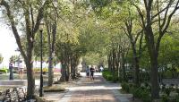 Waterfront Park, Charleston, SC