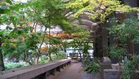 Waterfall Garden, Seattle, WA 