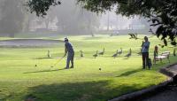 Photo courtesy Friends of Griffith Park::2012::The Cultural Landscape Foundation
