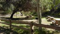 Photo courtesy Friends of Griffith Park::2012::The Cultural Landscape Foundation