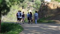 Photo courtesy Friends of Griffith Park::2012::The Cultural Landscape Foundation