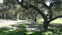 Photo courtesy Friends of Griffith Park::2012::The Cultural Landscape Foundation