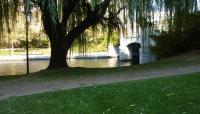 Lechmere Canal Park, Cambridge, MA