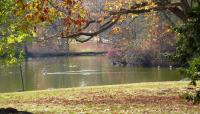 Forest Hills Cemetery, Jamaica Plain, MA 