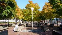 City Hall Plaza, Boston