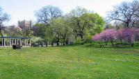 Garfield Park, Chicago, IL