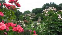 Old Westbury Gardens, Westbury, NY 