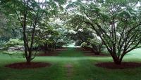 Photo by Karin Stanley, courtesy Polly Hill Arboretum::2011::The Cultural Landscape Foundation
