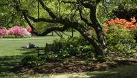 Azalea Garden, Fairmount Park, Philadelphia, PA