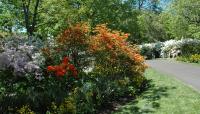 Azalea Garden, Fairmount Park, Philadelphia, PA