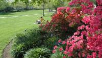 Photo courtesy Pennsylvania Horticultural Society:: ::The Cultural Landscape Foundation
