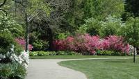 Azalea Garden, Fairmount Park, Philadelphia, PA