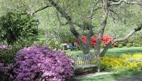 Azalea Garden, Fairmount Park, Philadelphia, PA