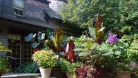 photo courtesy of Scott Arboretum:: ::The Cultural Landscape Foundation 