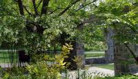 photo courtesy of Scott Arboretum:: ::The Cultural Landscape Foundation 