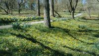 Bartram's Garden, Philadelphia, PA