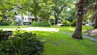 Alcée Fortier Park, New Orleans, LA