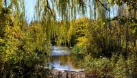 Alley Pond Park, Queens, NY