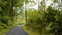 Alley Pond Park, Queens, NY