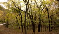 William B. Umstead State Park