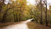 William B. Umstead State Park