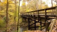 William B. Umstead State Park