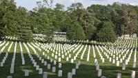 Arlington National Cemetery - section 31
