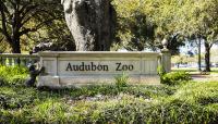 Audubon Zoo, New Orleans, LA