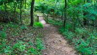 Photo by Cheryl Miller::2015::The Cultural Landscape Foundation