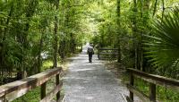 Barataria Preserve, New Orleans, LA