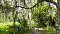 Barataria Preserve, New Orleans, LA