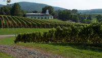 Barboursville Vineyards, Barboursville, VA