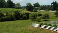Barboursville Vineyards, Barboursville, VA