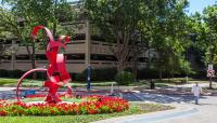 Baylor University Medical Center, Dallas, TX