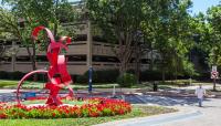 Baylor University Medical Center, Dallas, TX