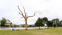 Bayou St. John, New Orleans, LA