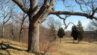 Beaver Brook Reservation, Belmont, MA