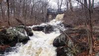 Beaver Brook Reservation, Belmont, MA