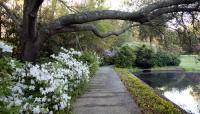 Bellingrath Gardens, Theodore, AL