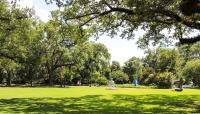 Besthoff Sculpture Garden, New Orleans, LA