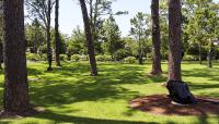 Besthoff Sculpture Garden, New Orleans, LA