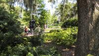 Besthoff Sculpture Garden, New Orleans, LA